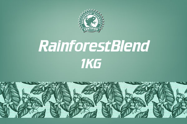 rainforest-blend